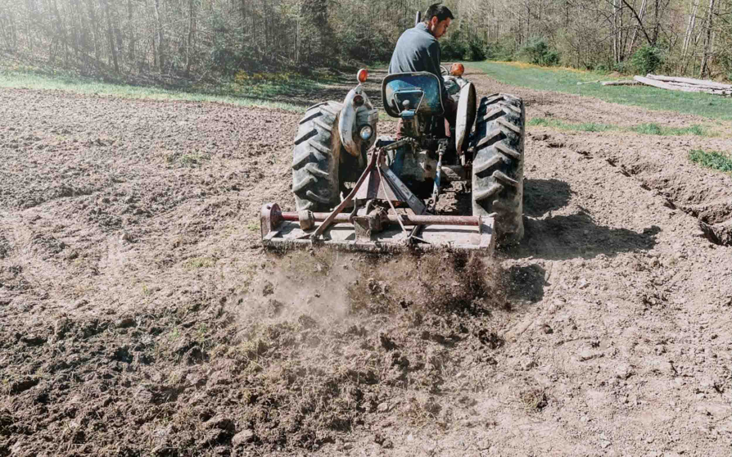 The Work of The Plow